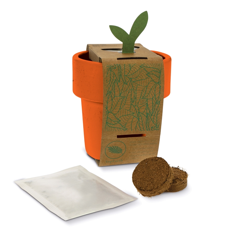 Cup with seeds - Image 8